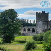 Discover the untouched spots of Ireland with Scenic Coach tours