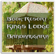 Bandhavgarh National Park,  Wild Life Tour Packages